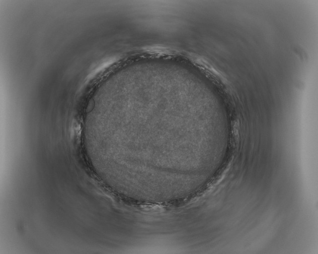 X0000113181302200910021535