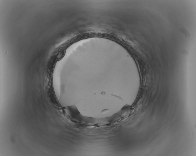X0000113181303200910021535
