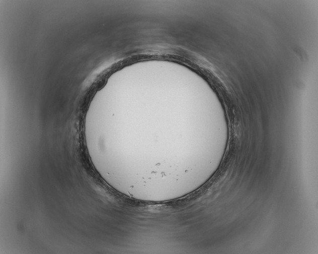 X0000113181304200910021535