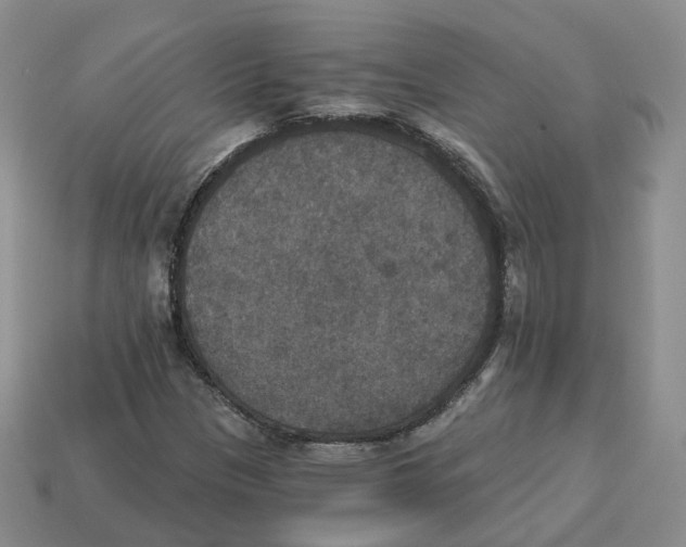 X0000113181305200910021535