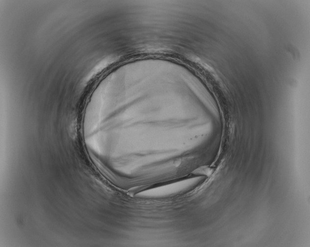 X0000113181306200910021535