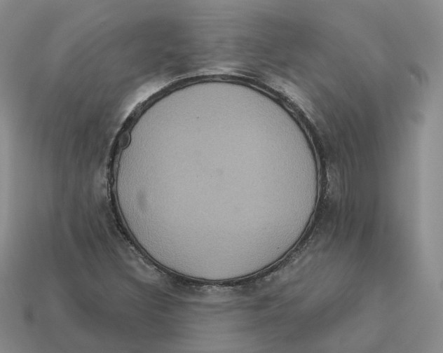 X0000113181308200910021535