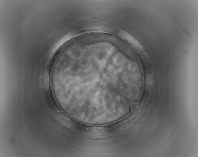 X0000113181310200910021535