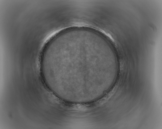 X0000113181311200910021535