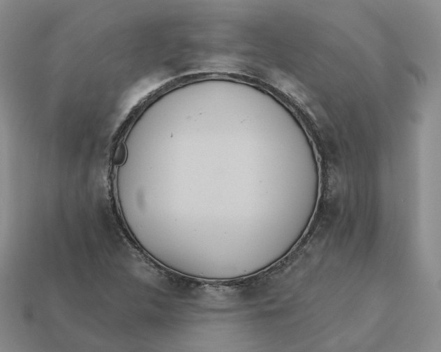 X0000113181312200910021535
