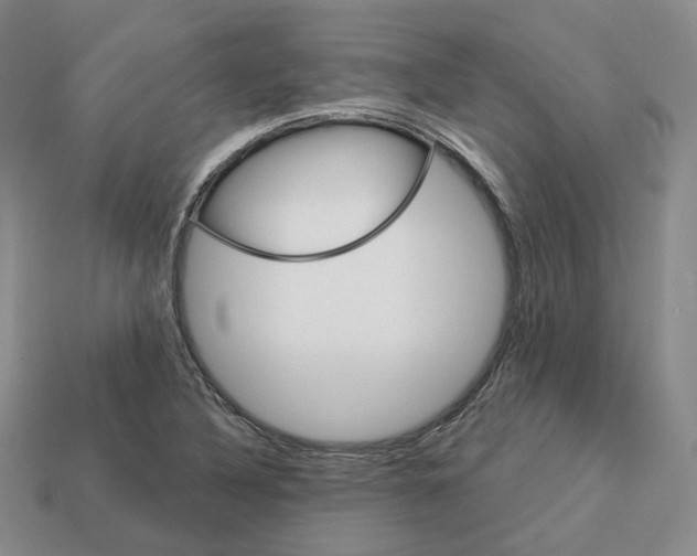 X0000113181316200910021535
