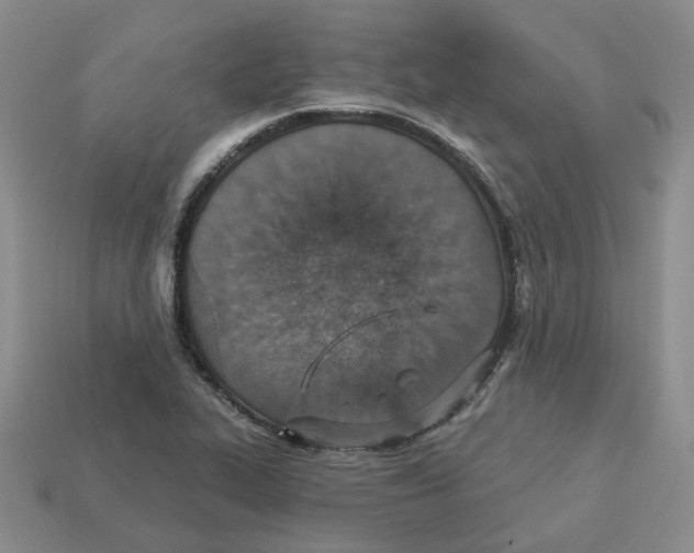X0000113181319200910021535