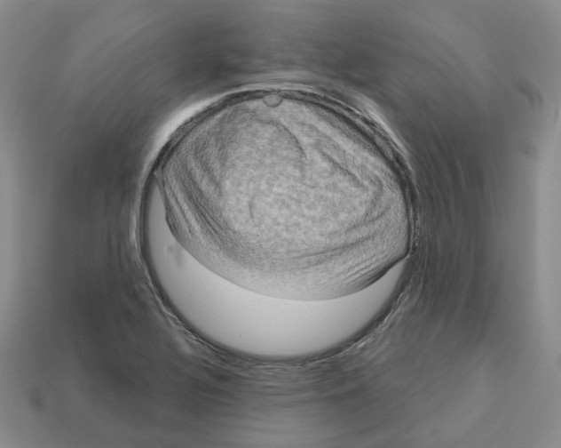 X0000113181320200910021535