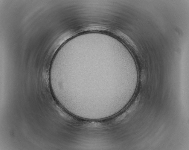 X0000113181321200910021535