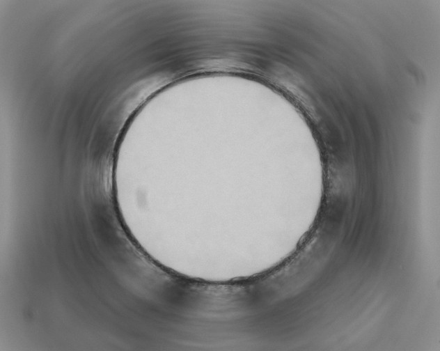 X0000113181322200910021535
