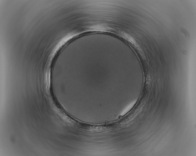 X0000113181323200910021535