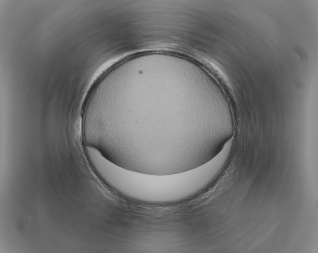 X0000113181324200910021535