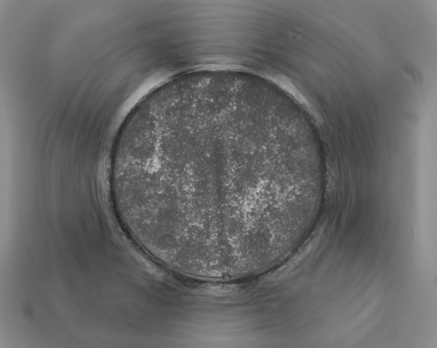 X0000113181325200910021535