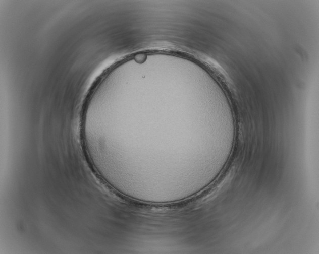 X0000113181326200910021535