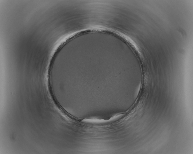 X0000113181327200910021535