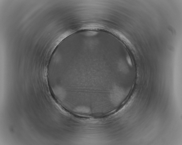X0000113181329200910021535