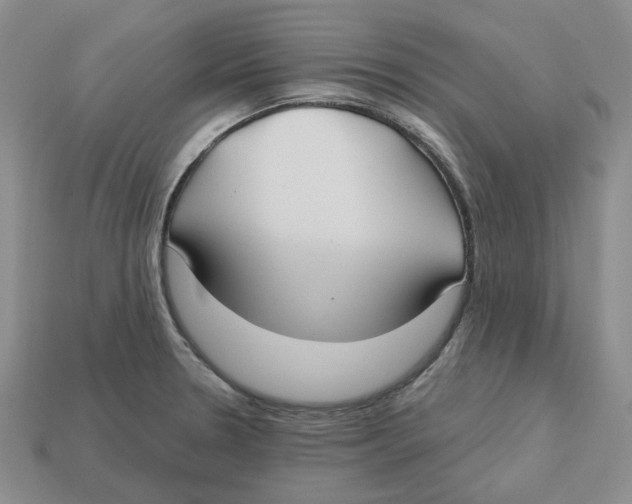 X0000113181330200910021535