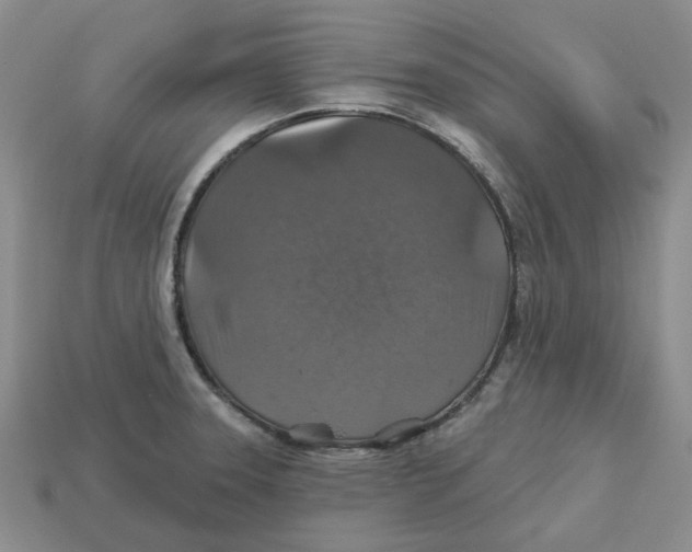 X0000113181331200910021535