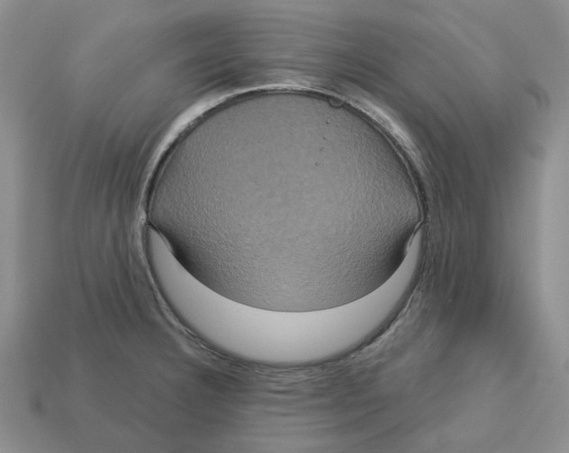 X0000113181332200910021535