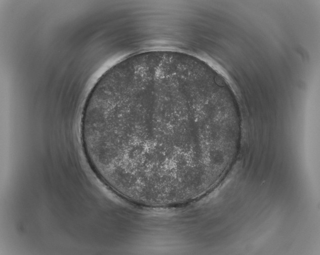 X0000113181333200910021535