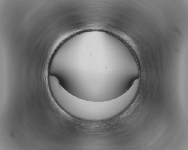 X0000113181334200910021535