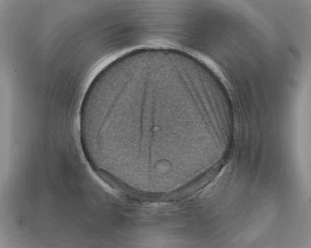X0000113181335200910021535