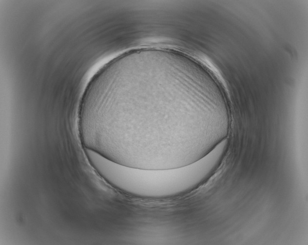 X0000113181336200910021535