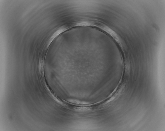 X0000113181337200910021535