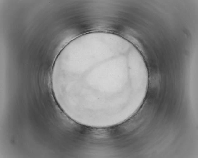 X0000113181338200910021535