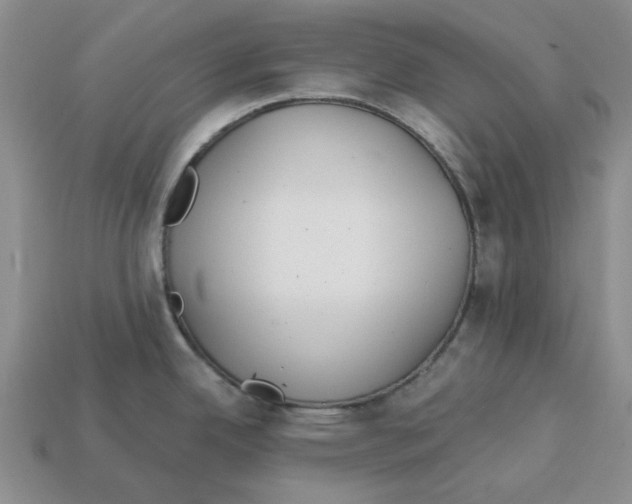 X0000113181342200910021535