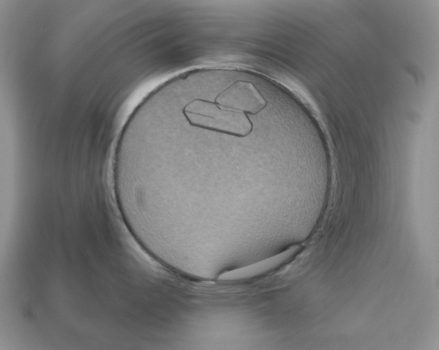 X0000113181344200910021535
