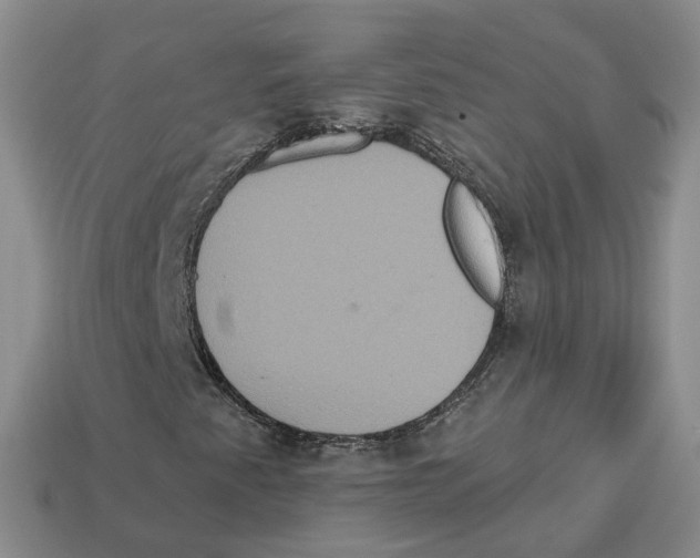 X0000113181345200910021535