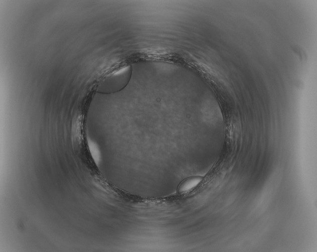 X0000113181346200910021535
