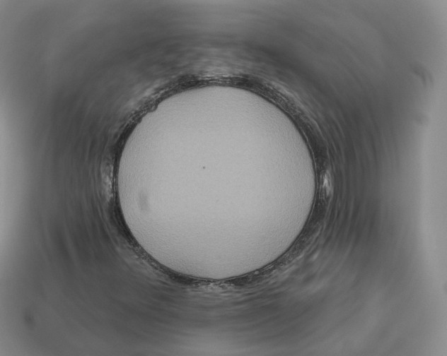 X0000113181348200910021535