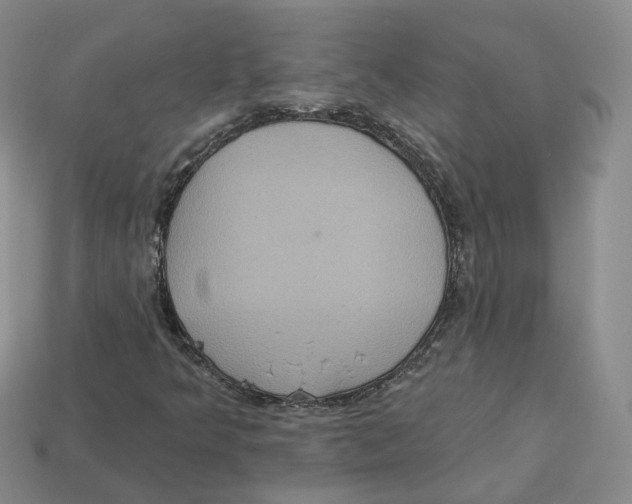 X0000113181349200910021534