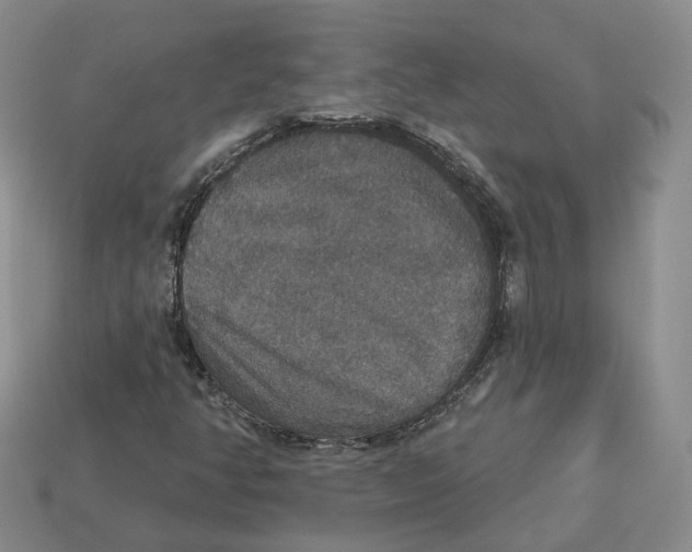 X0000113181350200910021534