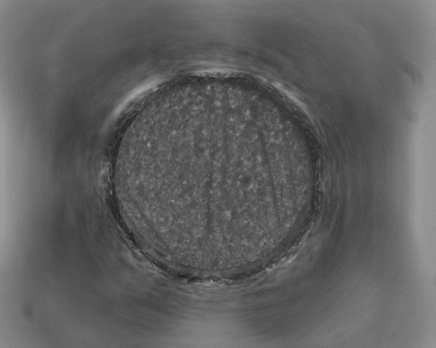 X0000113181351200910021534
