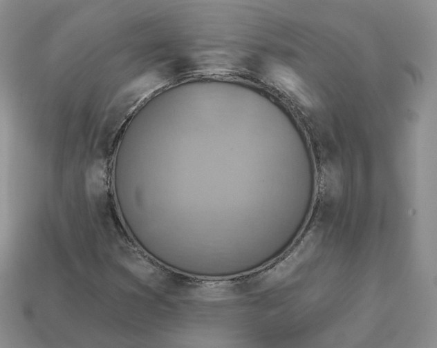 X0000113181353200910021534