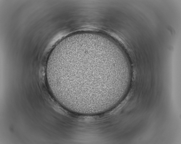 X0000113181355200910021534