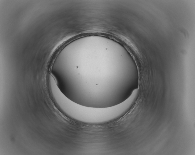 X0000113181356200910021534