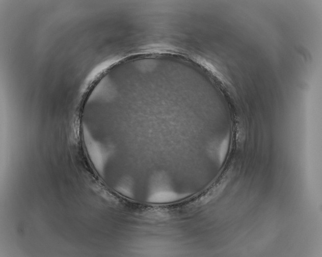 X0000113181358200910021534