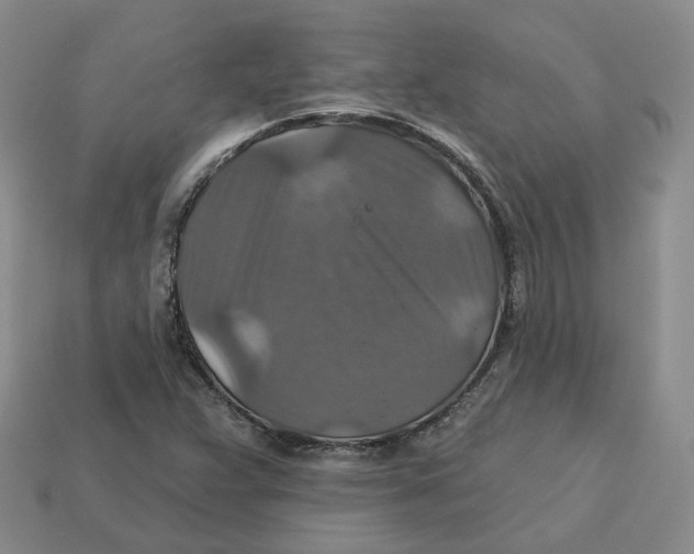 X0000113181359200910021534