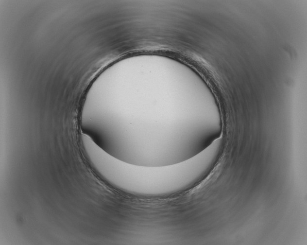 X0000113181361200910021534