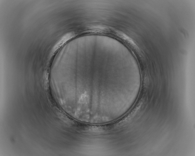 X0000113181362200910021534