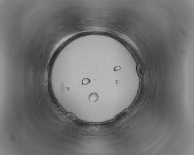 X0000113181364200910021534