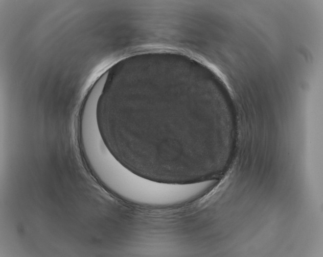 X0000113181365200910021534