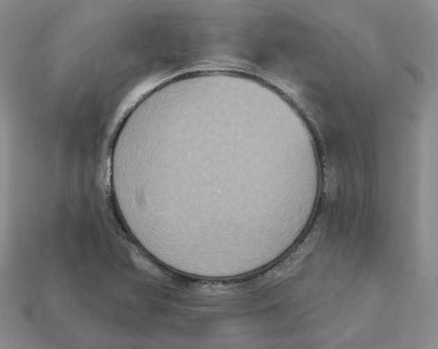 X0000113181366200910021534