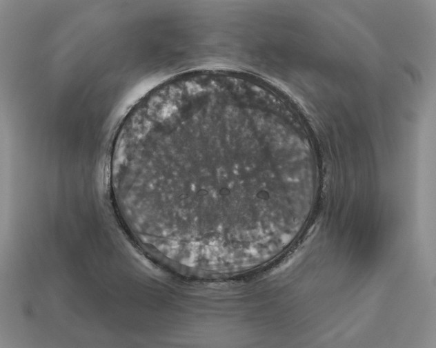 X0000113181367200910021534