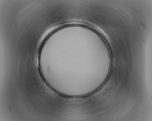 X0000113181368200910021534
