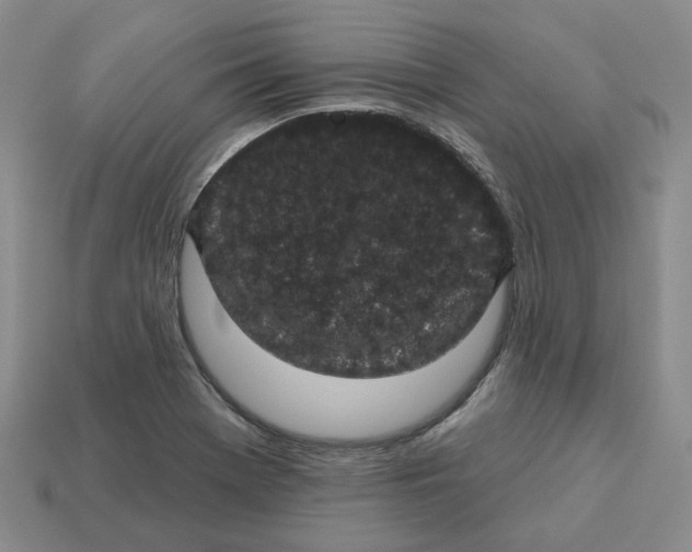 X0000113181369200910021534